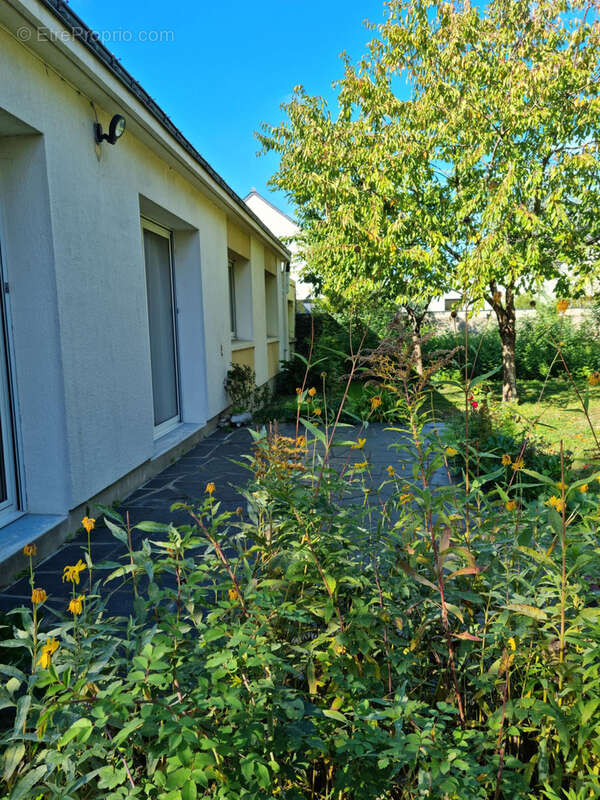 Maison à MURS-ERIGNE