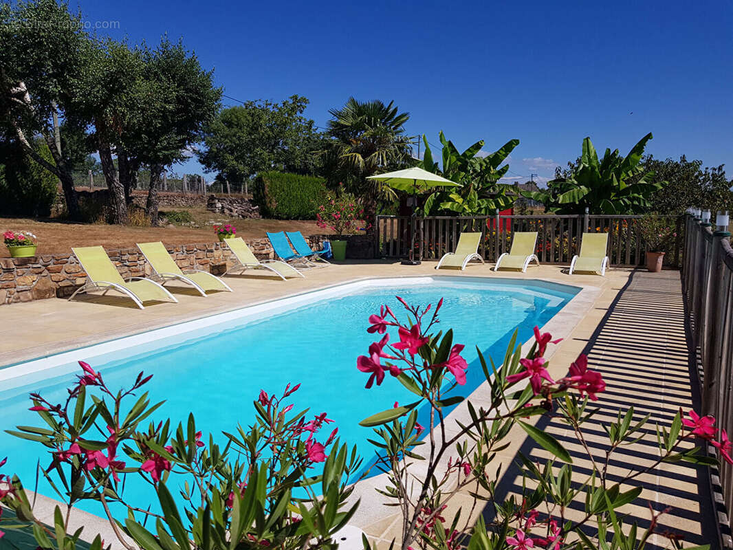 Propriété de caractère en pierre avec deux gîtes, piscine et jardin arboré - photo 3