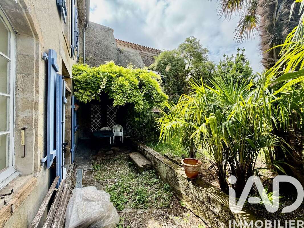Photo 6 - Maison à FANJEAUX