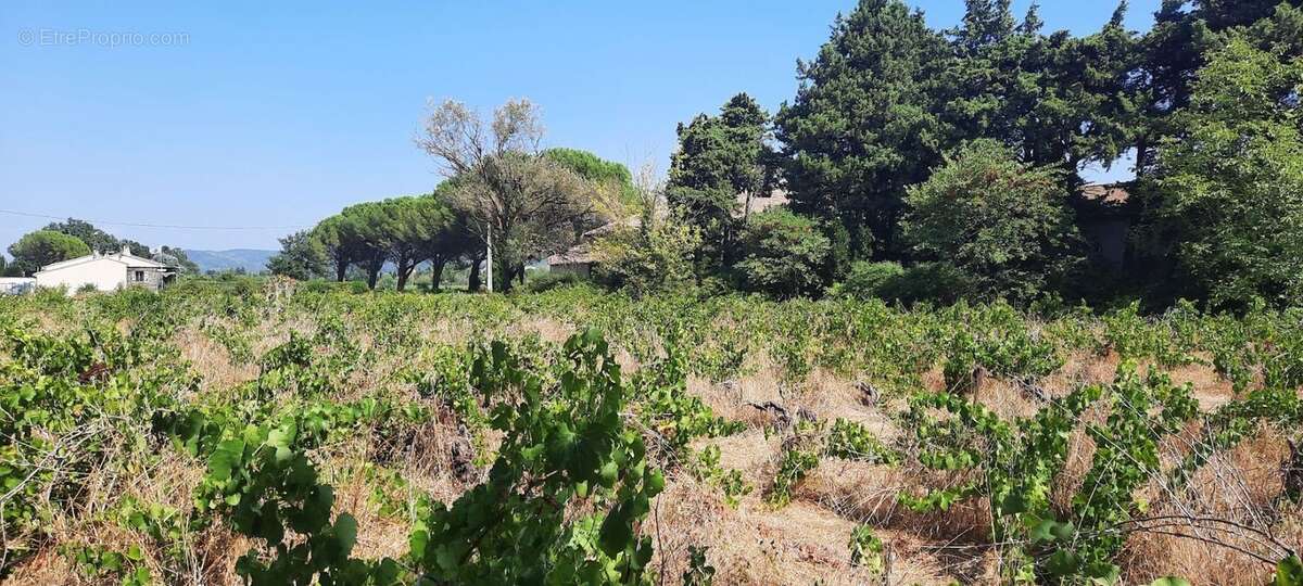 Projet de construction d'une maison  m² avec terrain à SAINTE-CECILE-LES-VIGNES (84) - photo 2