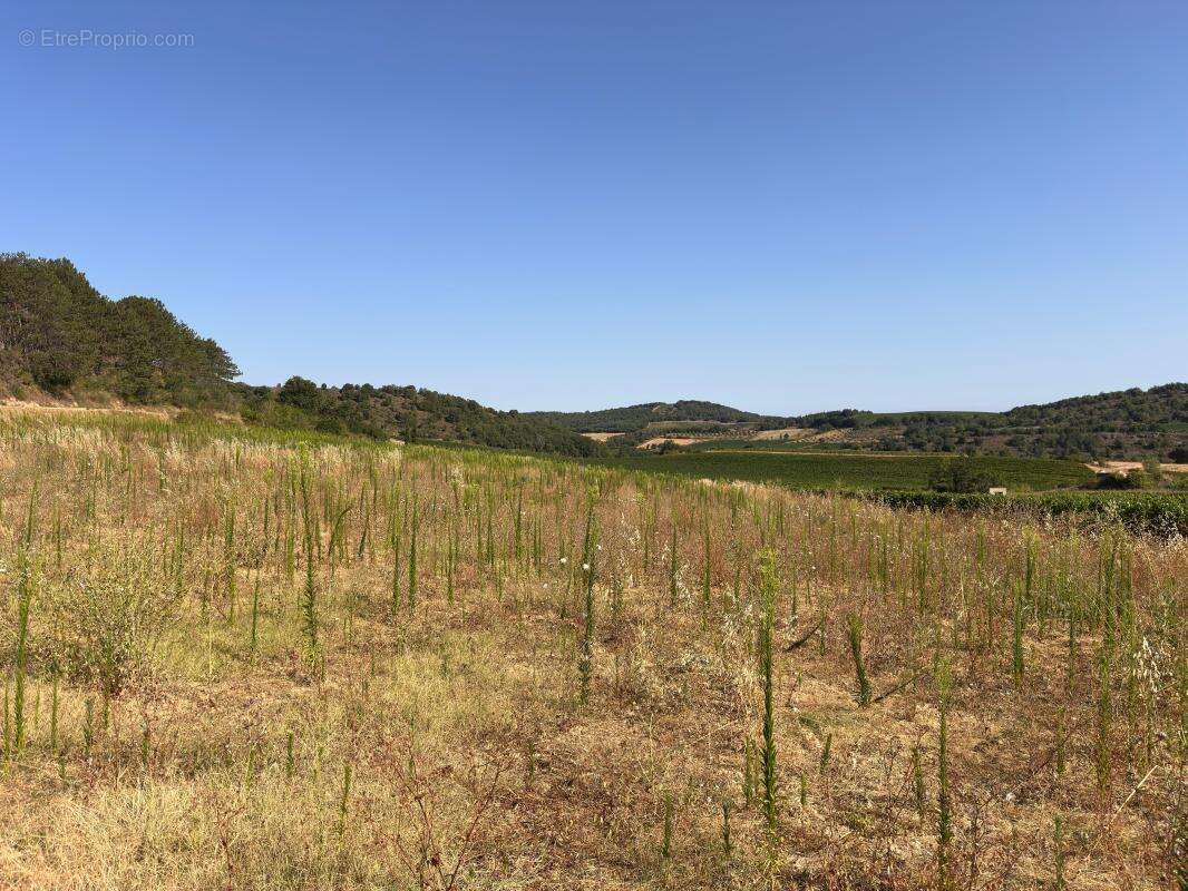 Terrain À Vendre - photo 4