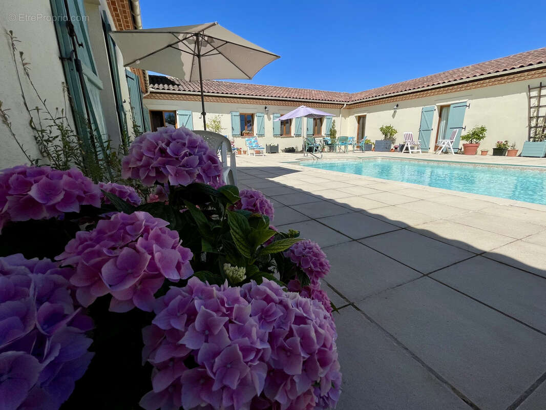 Maison Vue Montagnes & Campagne, Piscine, Proche de Marciac-IDEAL B&B - photo 2