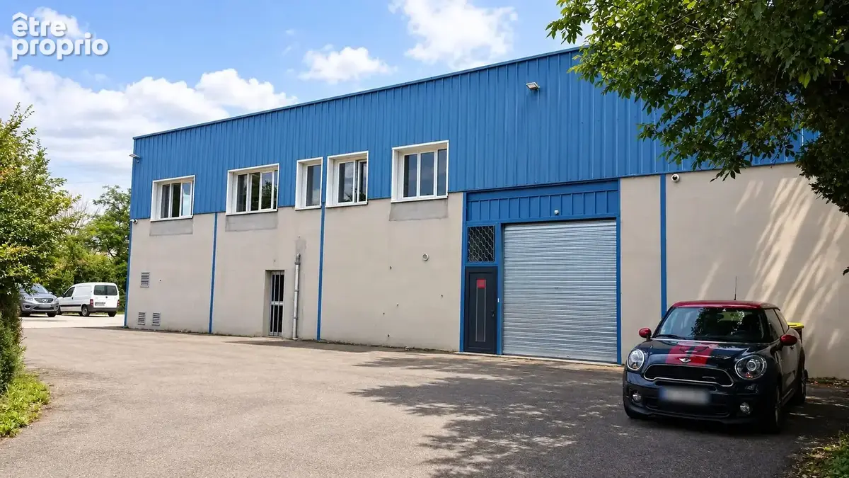 Commerce 550 m² à vendre à Collonges-Au-Mont-D'or (69660) - photo 5