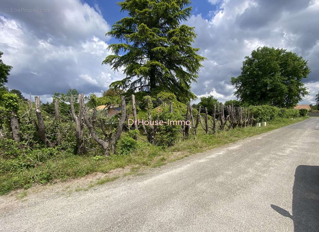 Terrain à PARENTIS-EN-BORN