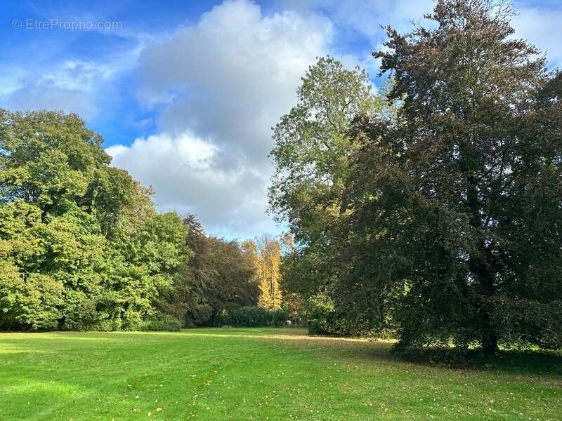 Magnifique Manoir XVIe de 500 m2 au cœur d’un parc Lenôtre de 2 hectares - photo 10