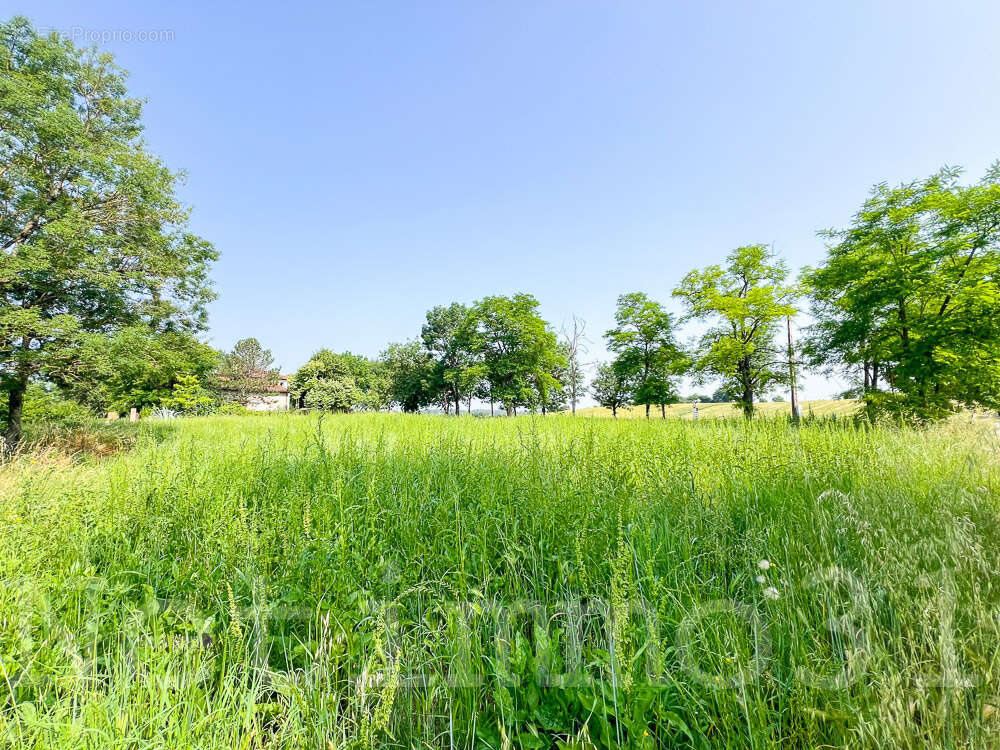 Terrain à CUQ-TOULZA