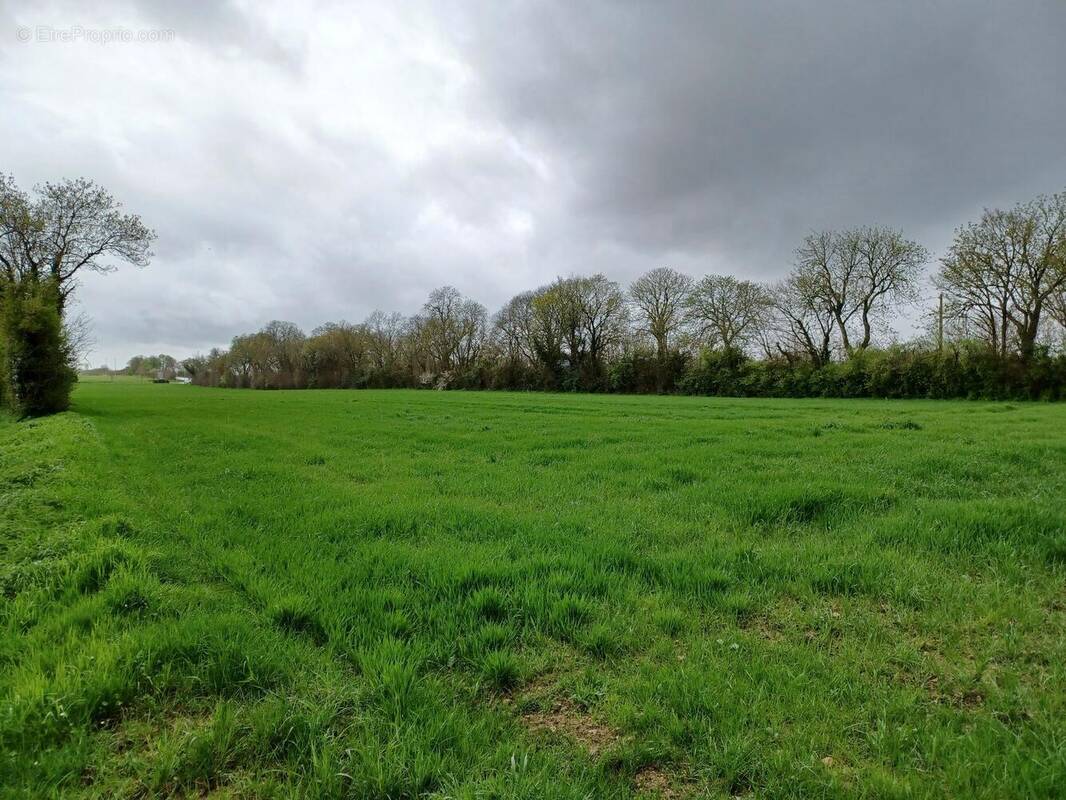 Terrain à LA ROCHELLE