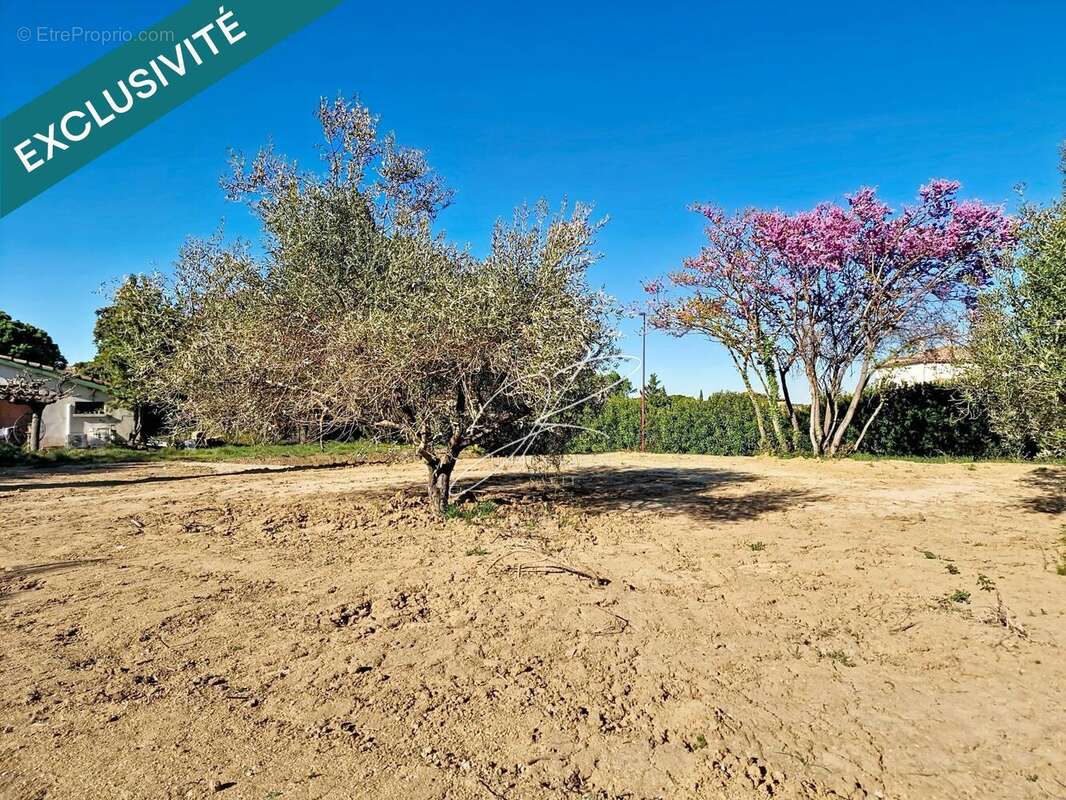 Photo 5 - Terrain à PUIMISSON
