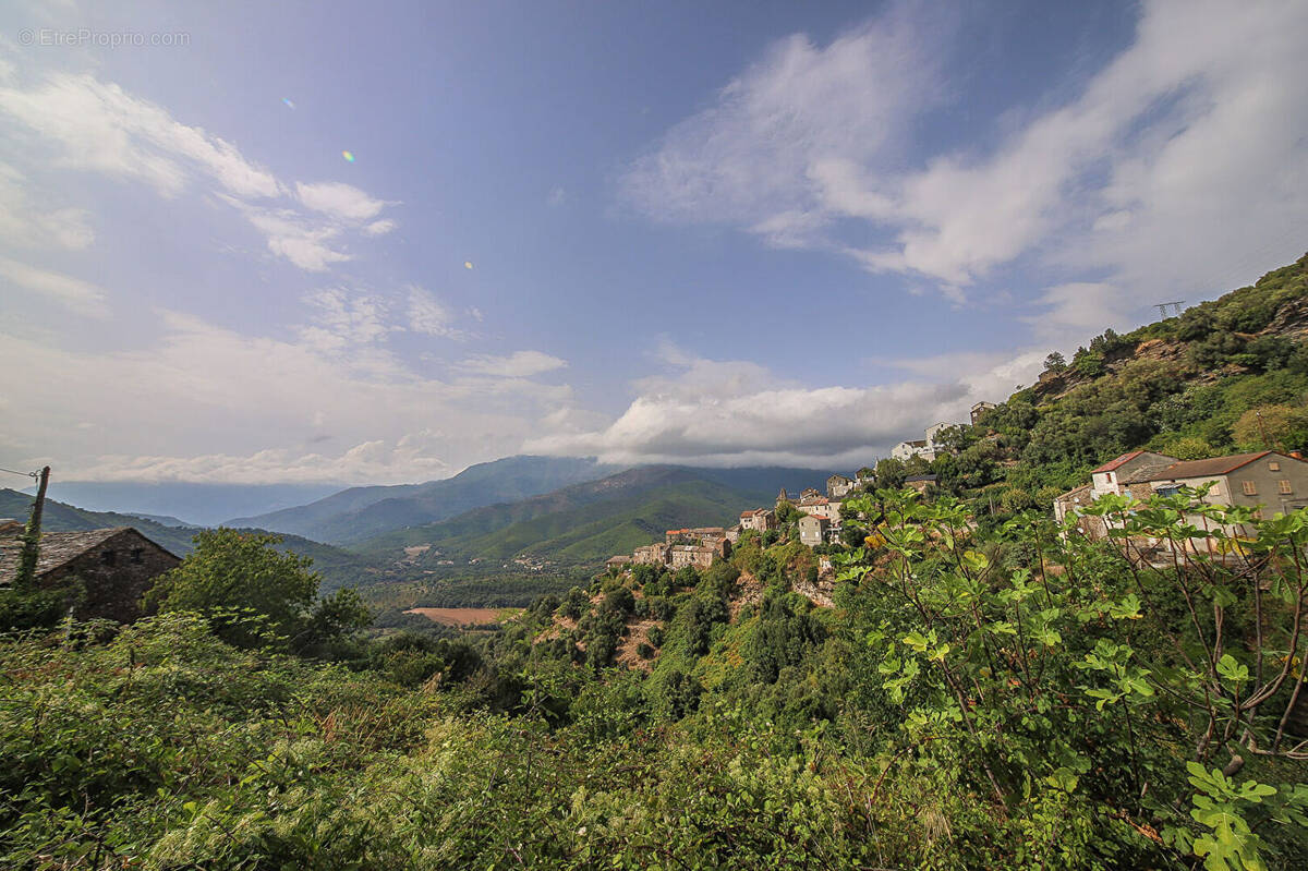 Maison à PRUNELLI-DI-CASACCONI