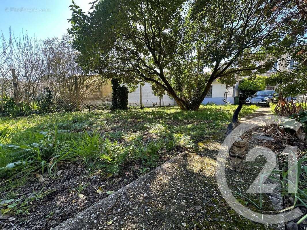 Terrain 517 m² à Begles  - photo 7