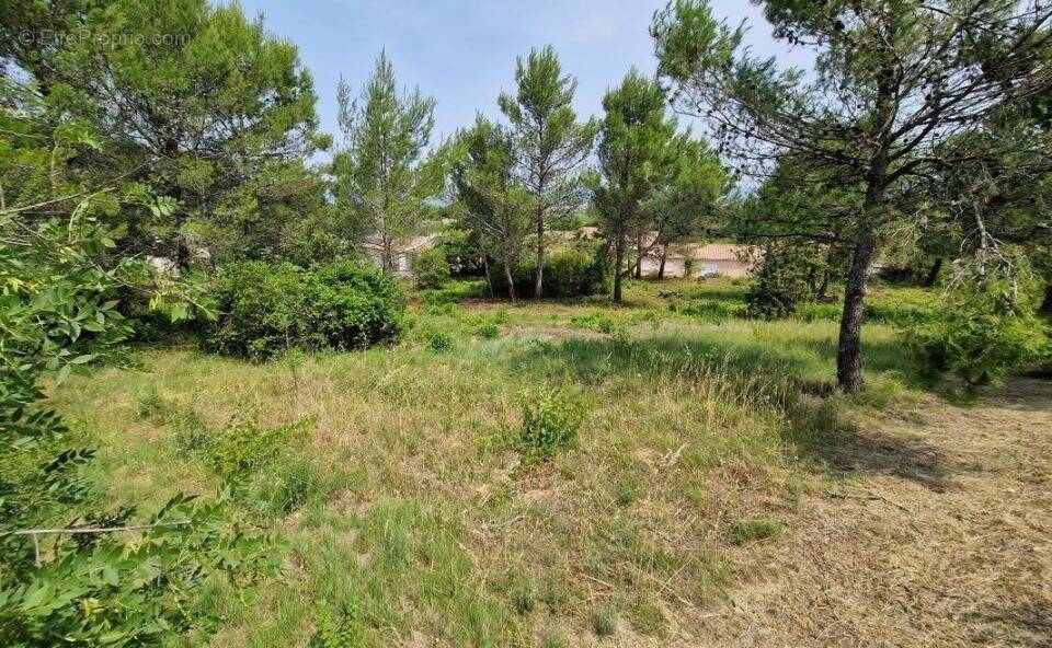 Terrain à FONTIES-D'AUDE