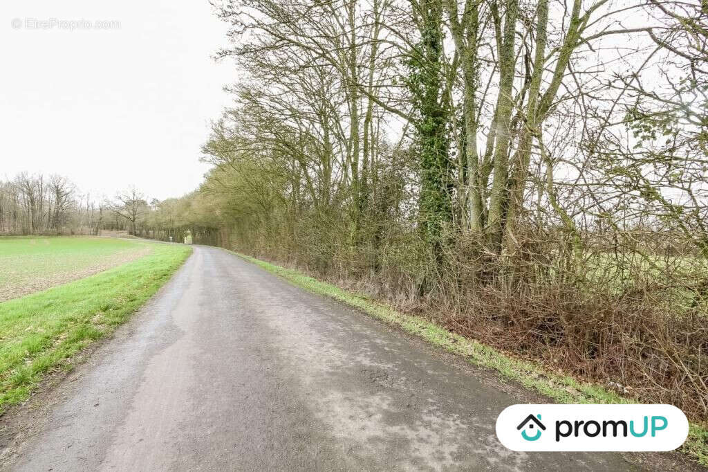 Terrain à CHAILLOUE