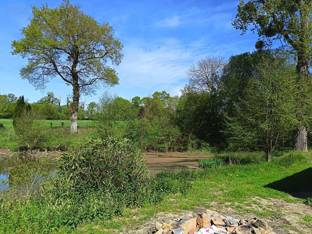 Photo 5 - Maison à SAINT-MEDARD-SUR-ILLE