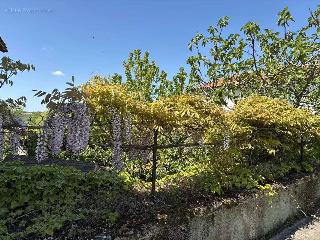 Maison à AUBETERRE-SUR-DRONNE
