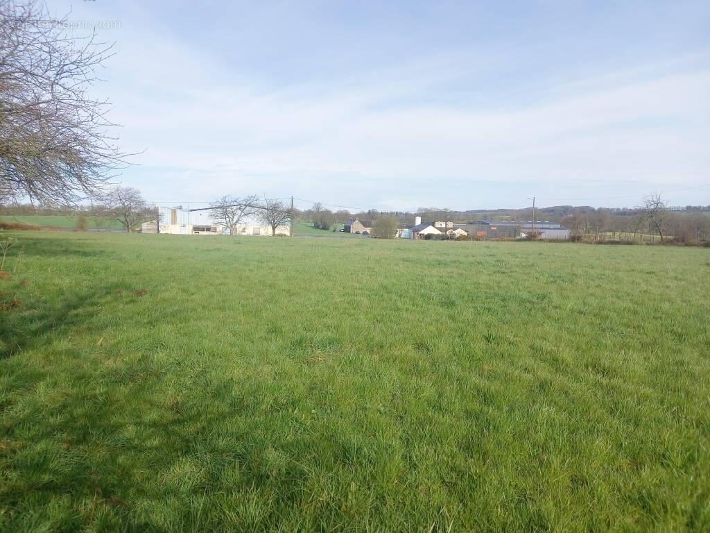 Terrain à SAINT-PIERRE-DES-LANDES