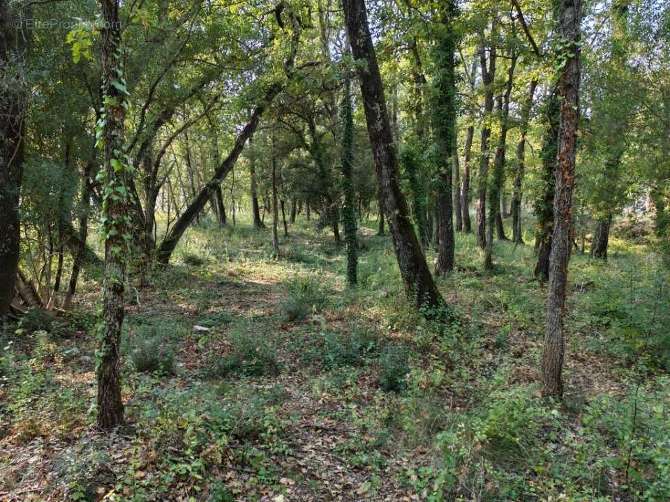 Terrain à TRANS-EN-PROVENCE
