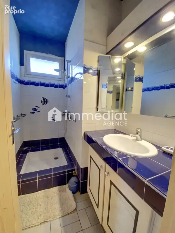 Appartement  familial 5 pièces quartier plateau - photo 11
