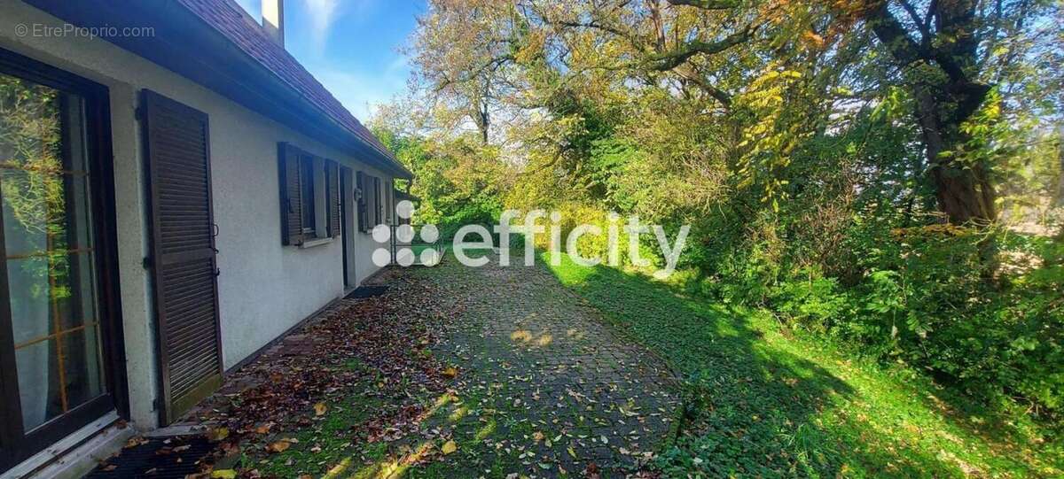 Maison à TAGOLSHEIM