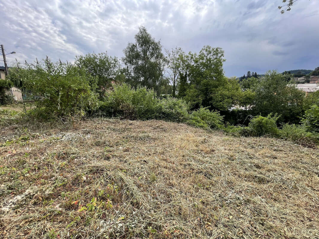 Terrain 1235 m² à Cours-La-Ville  - photo 4