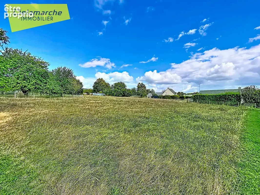 À vendre : maison à Grandparigny, 5 chambres, vie de plain-pied, sous-sol complet, dépendances et terrain constructible - photo 14