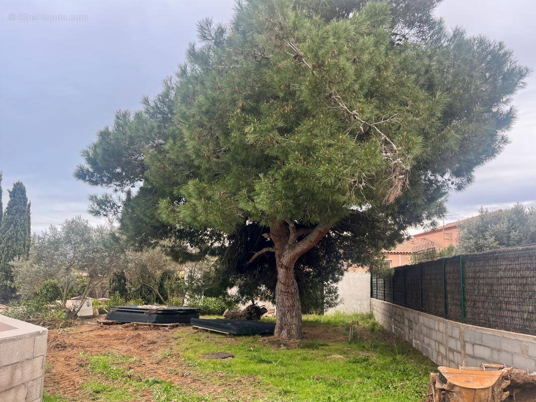 Terrain à MARSEILLAN