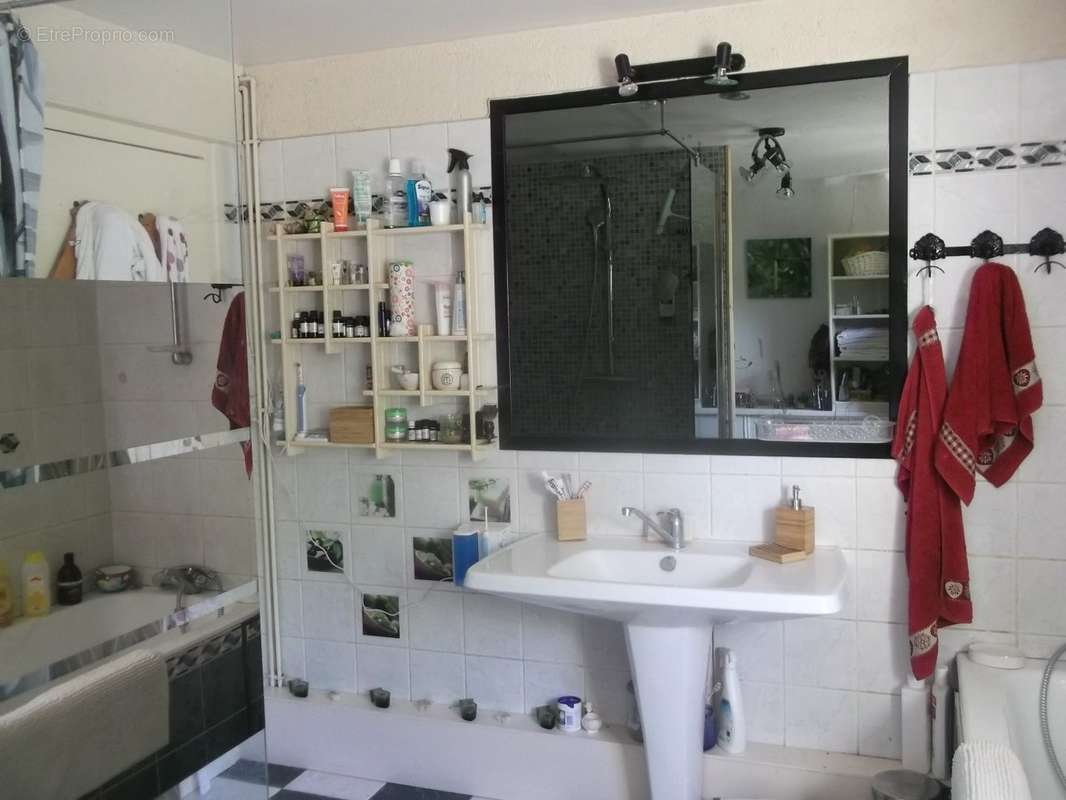 Maison à LA ROCHE-POSAY