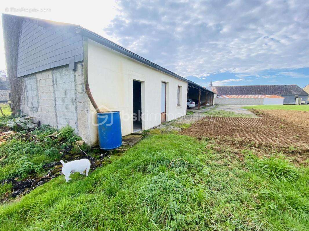 Terrain Constructible de 1050 M² avec 8 Garages ouverts et 3 Locaux Fermés d'environ 268 M²  (Plein Bourg) - photo 8