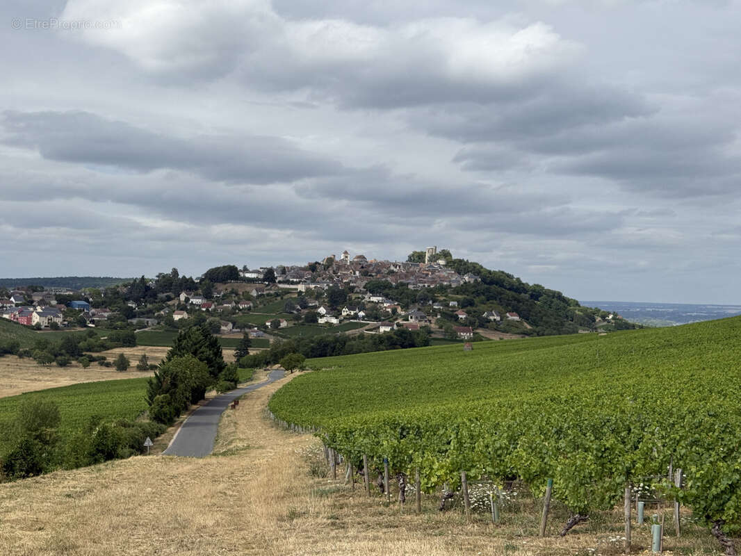Terrain à SANCERRE