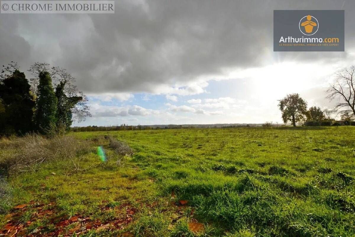 Terrain à ALLEMANS-DU-DROPT