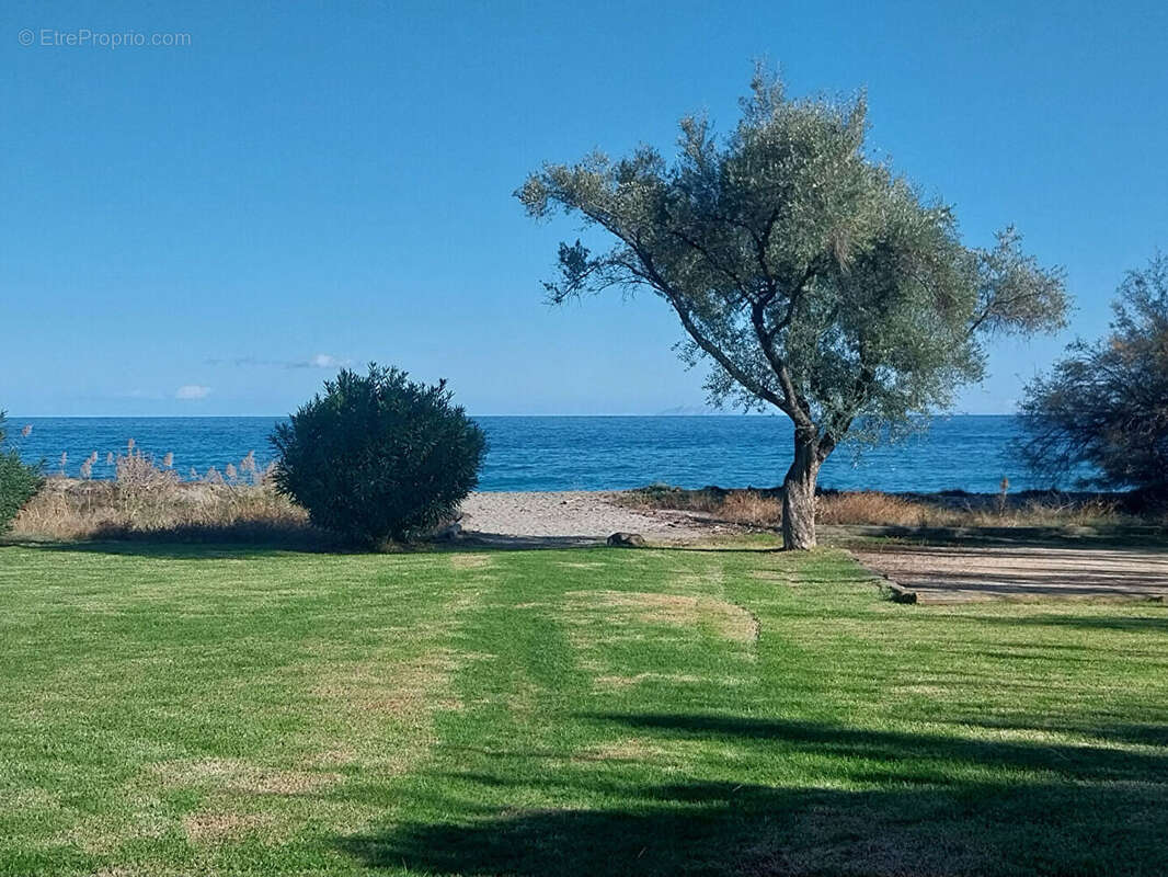 Appartement à SAN-NICOLAO