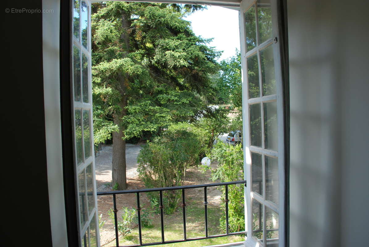 Mas au pied de la cité de Carcassonne - photo 44