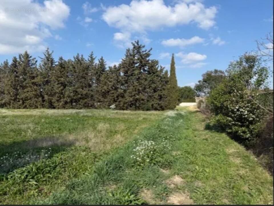 Terrain à AVIGNON