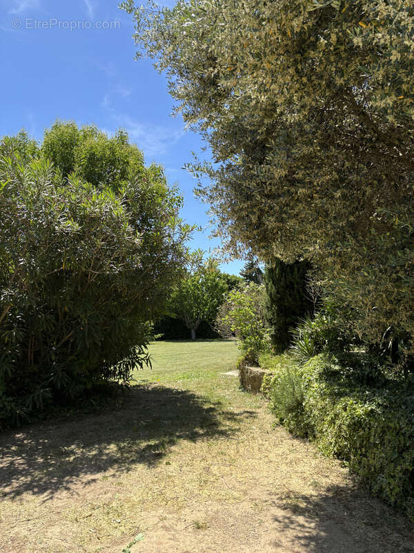Maison à MAUSSANE-LES-ALPILLES