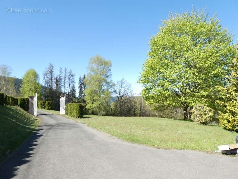 JULIENRUPT (88)à vendre , propriété T7 de 235m² , hangar extérieur , carport, terrain 8400m² - photo 2