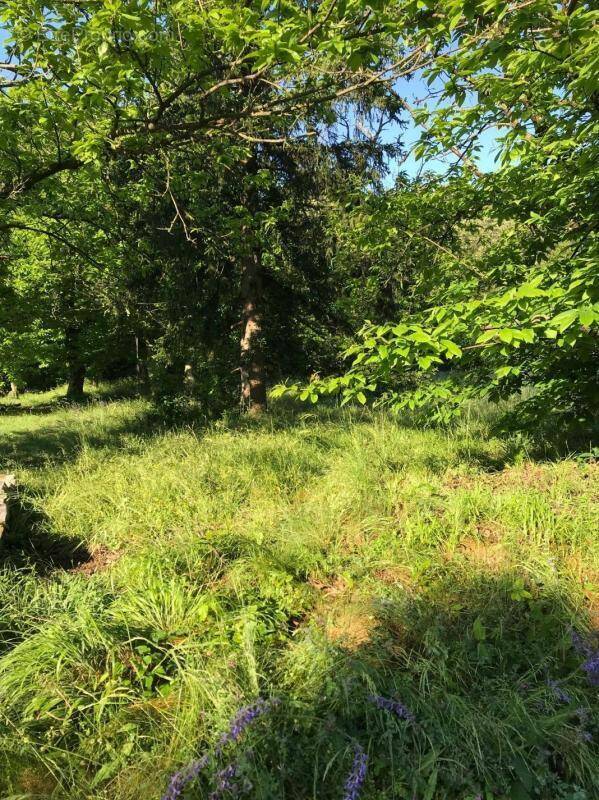 Terrain à SAINT-FLORENT-SUR-AUZONNET