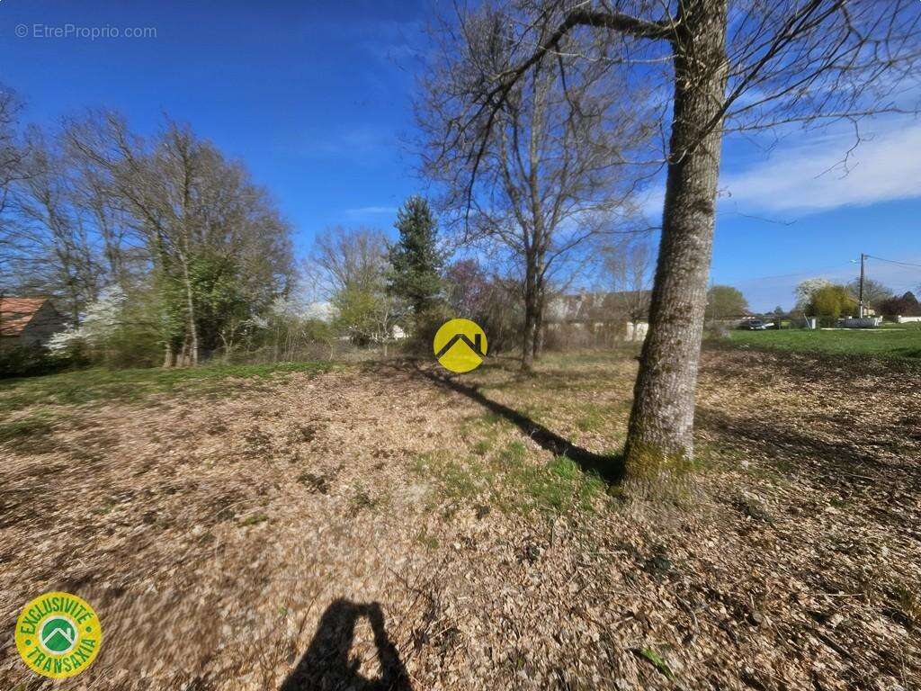 Terrain à LA GUERCHE-SUR-L'AUBOIS
