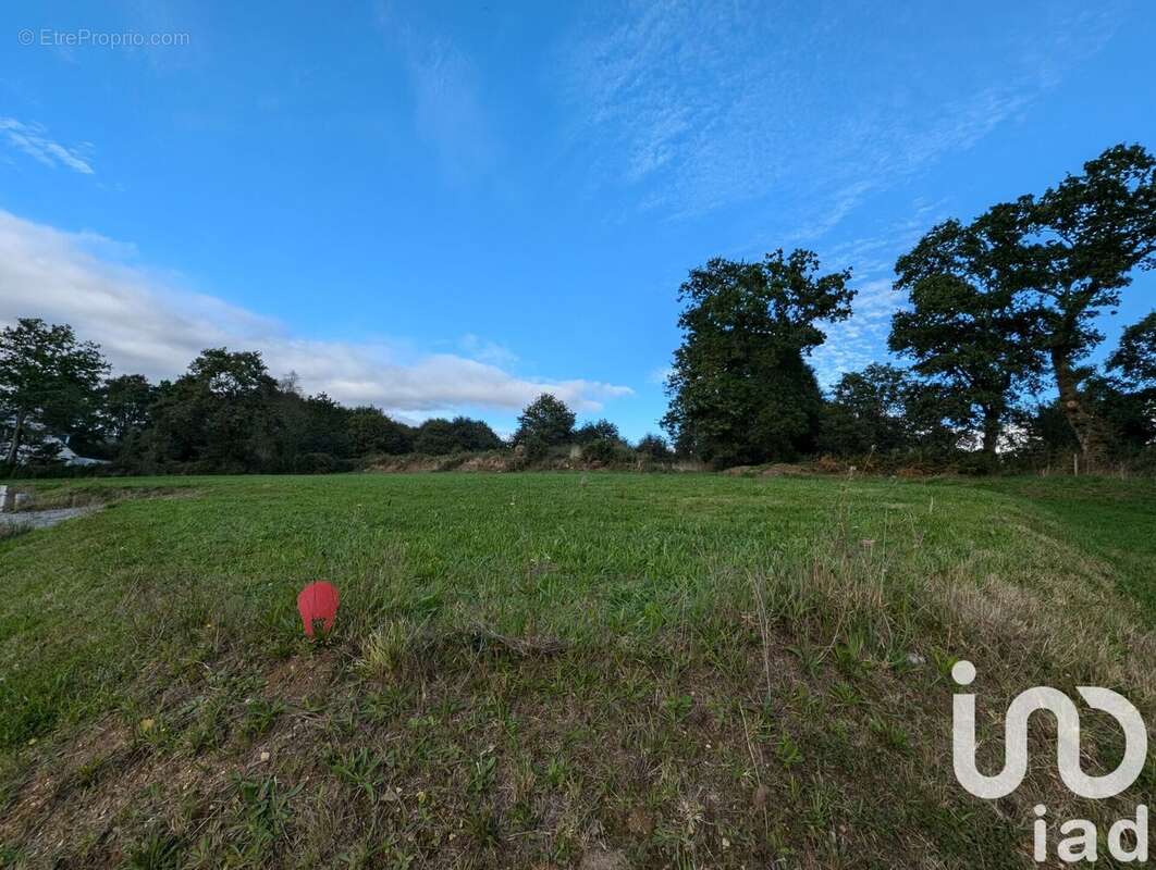 Photo 2 - Terrain à BERNE