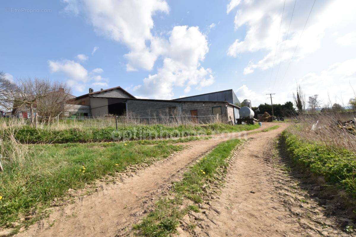Maison à vendre 5 pièces DOMAIZE (63) - photo 8