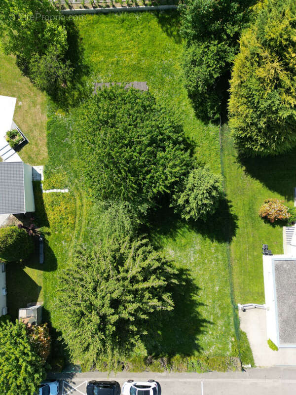 Terrain à DINGSHEIM