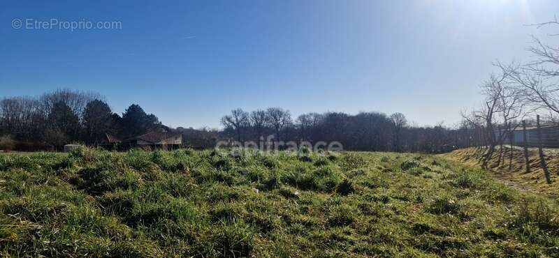 Terrain à vendre à bâtir LAREE (32) - photo 3