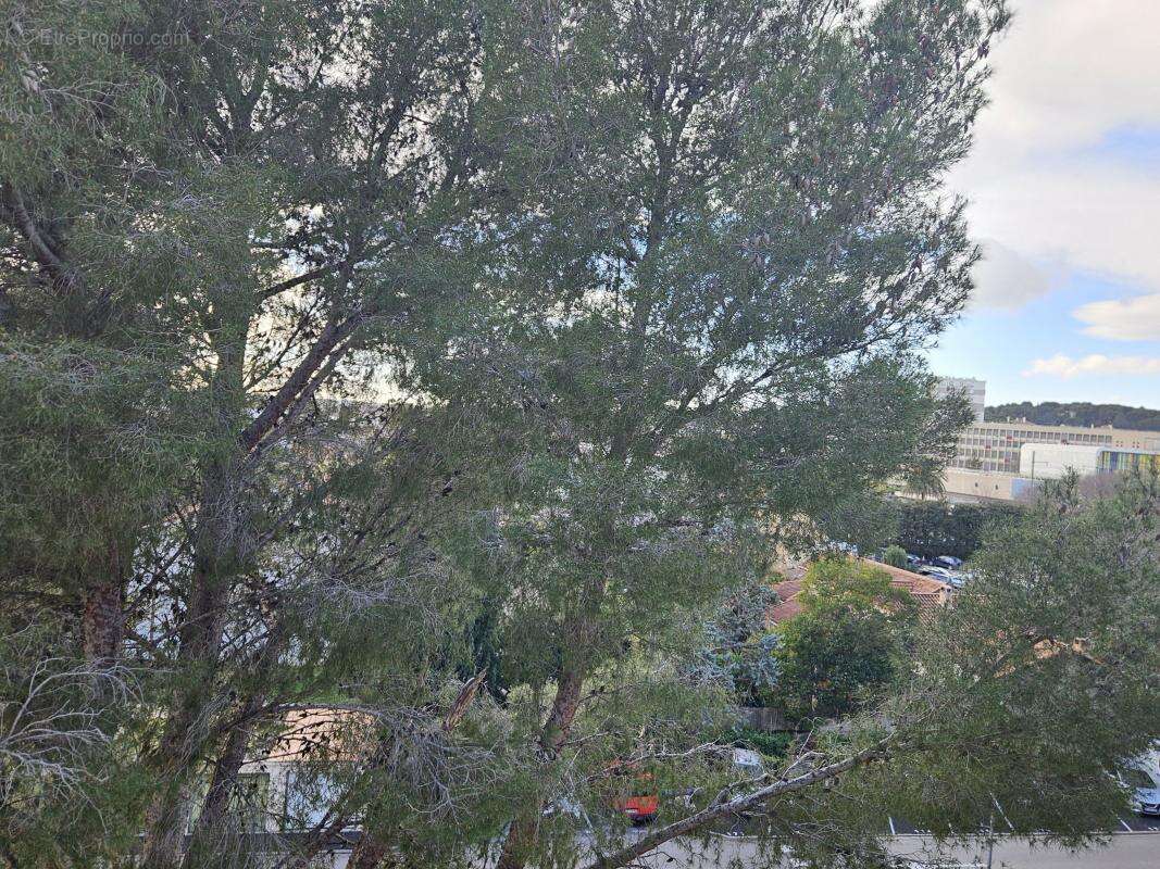 Appartement - photo 10