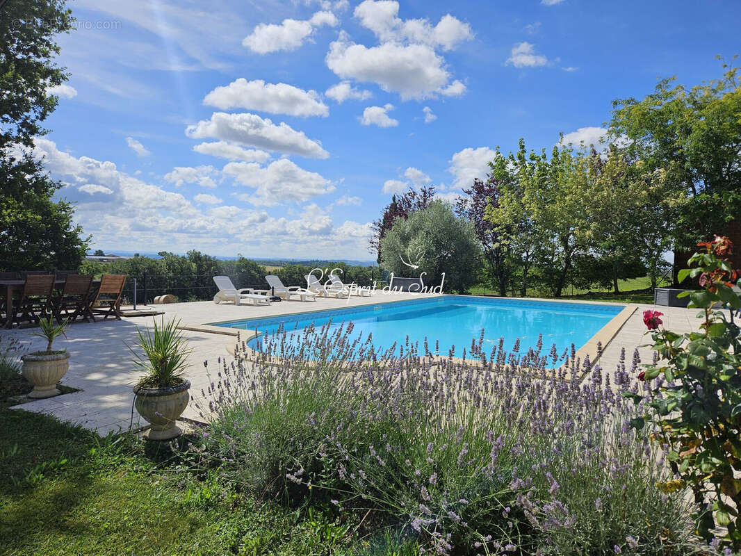 Maison 480 m² à Cordes-Sur-Ciel  - photo 2