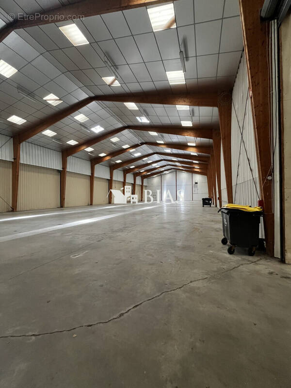 Commerce 400 m² à La Saussaye  - photo 1