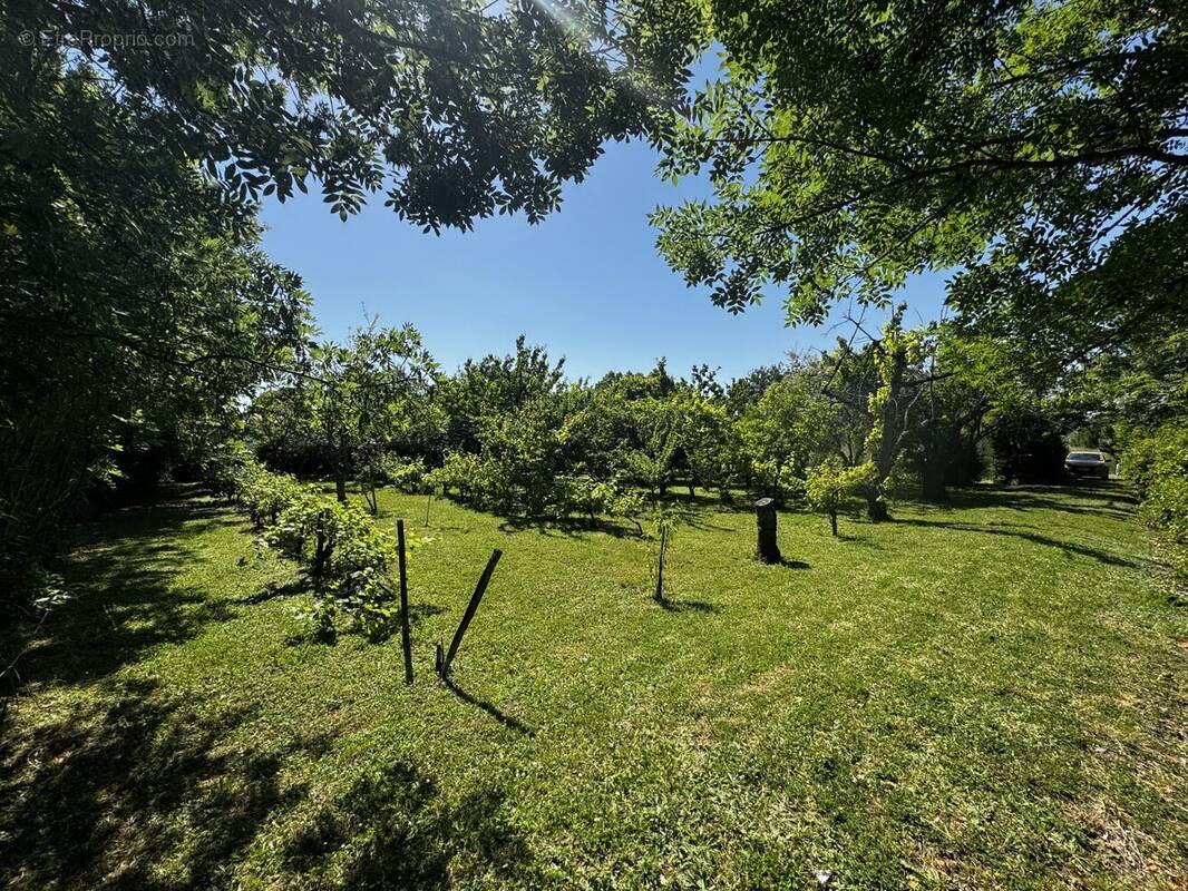 Terrain à ROUFFIAC-TOLOSAN