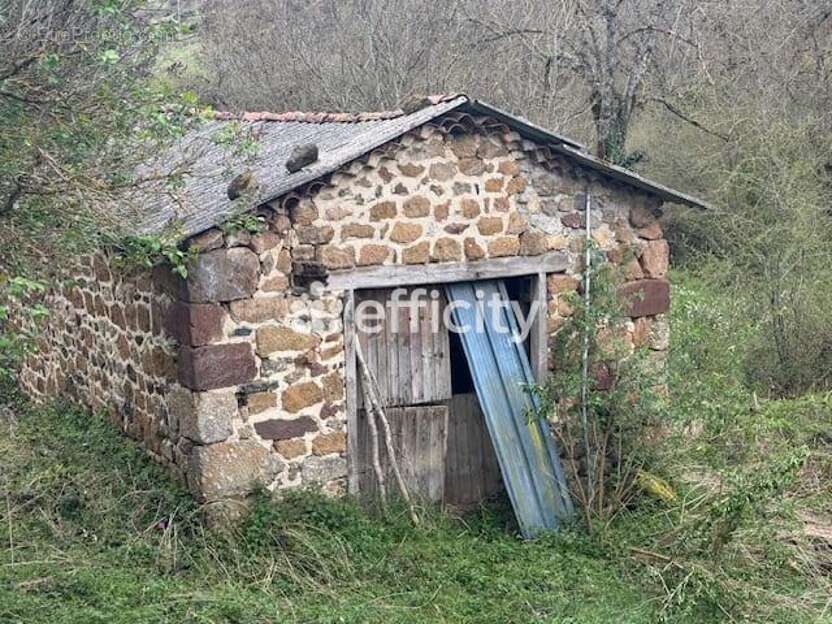 Maison 80 m² à Monistrol-D'allier  - photo 4
