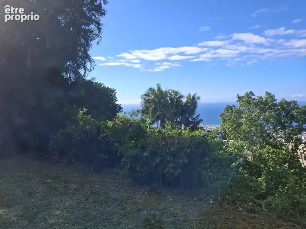 Propriété - 8 pièces - terrain de 4800 m² - photo 8