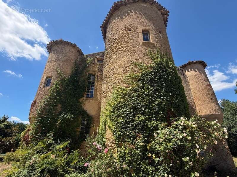MARCIAC(32): ancienne SEIGNEURIE avec BEAU CHATEAU XIV sur 3,5ha, cachée, au bout du chemin, sans voisin, en campagne, 500m2 hab - photo 19