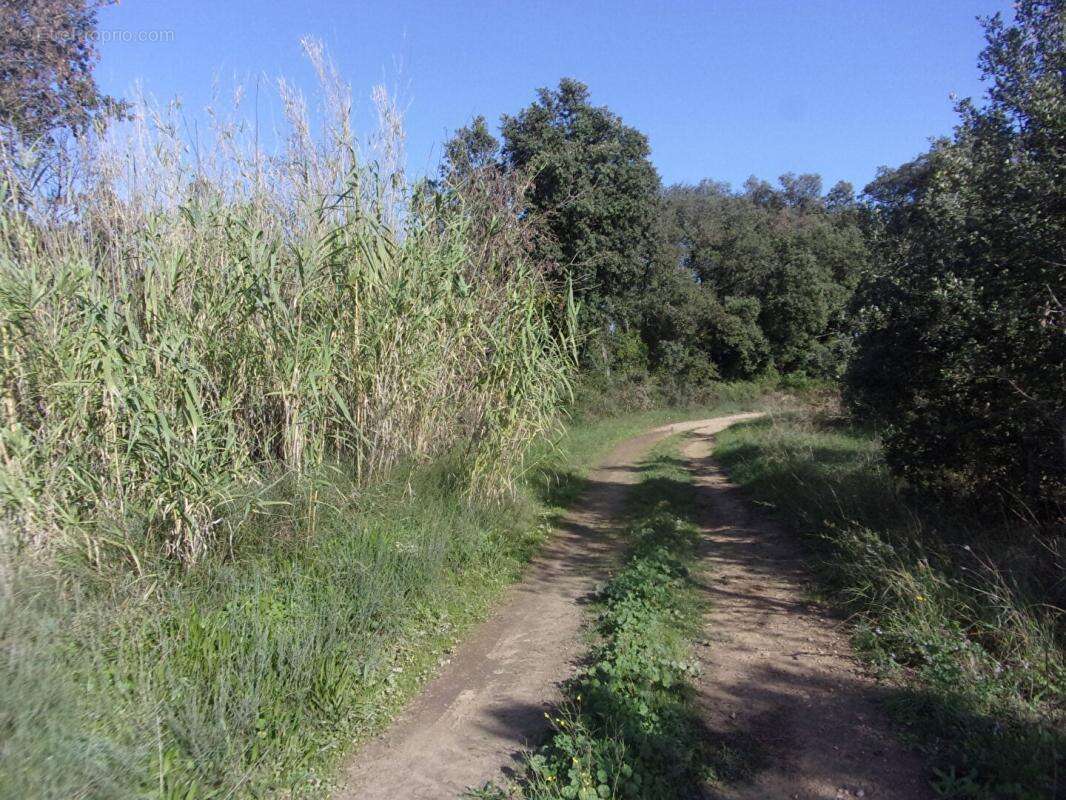 Terrain à SAINT-PONS-DE-MAUCHIENS