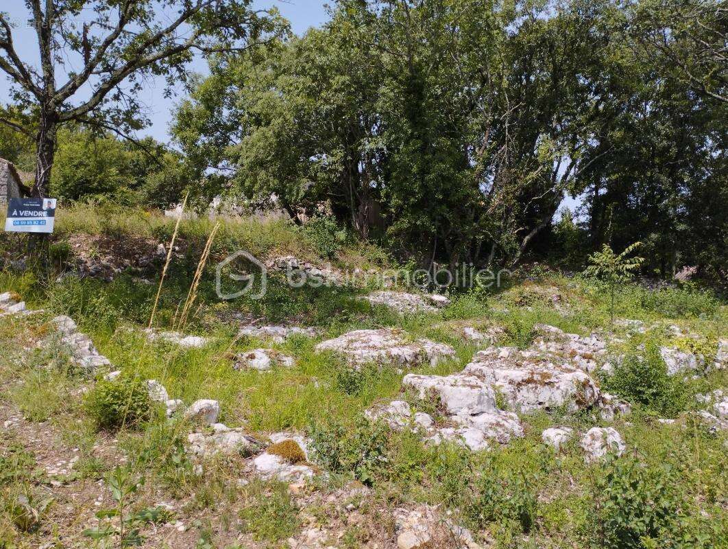 Terrain constructible - photo 3