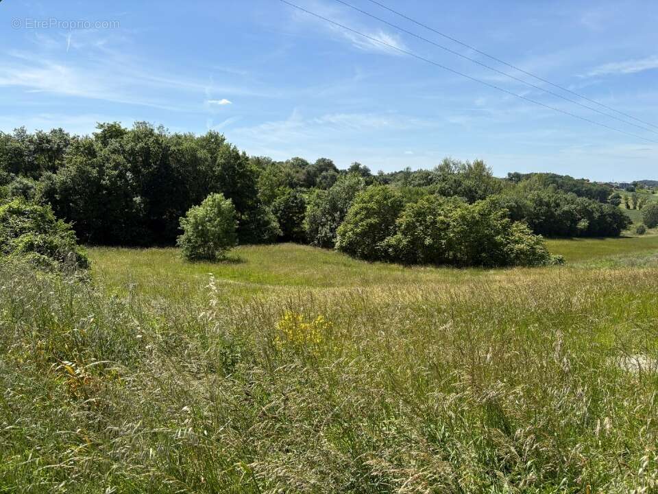 Terrain à SAINT-JEAN-LHERM